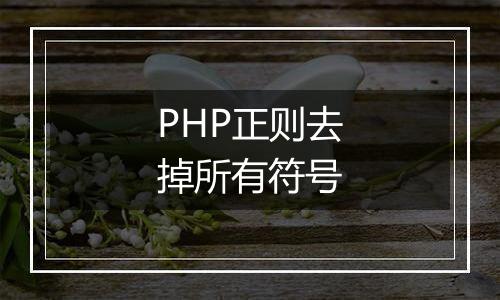 PHP正则去掉所有符号