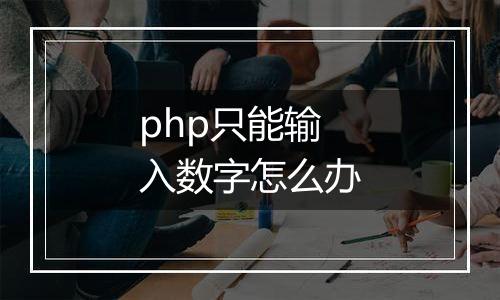 php只能输入数字怎么办