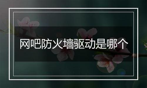 网吧防火墙驱动是哪个