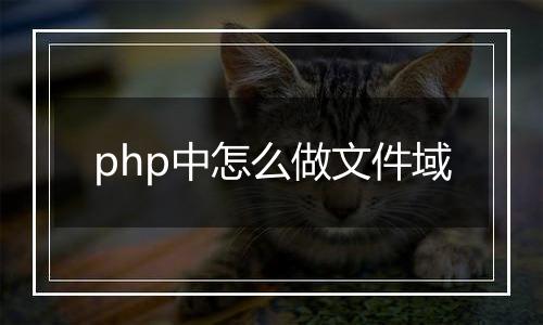 php中怎么做文件域