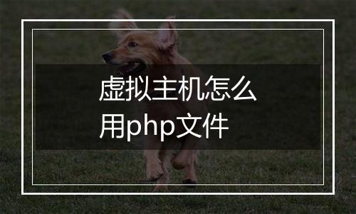 虚拟主机怎么用php文件