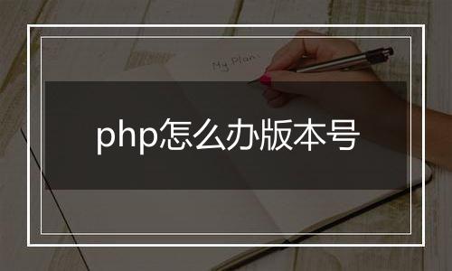 php怎么办版本号