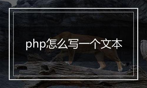 php怎么写一个文本