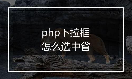 php下拉框怎么选中省