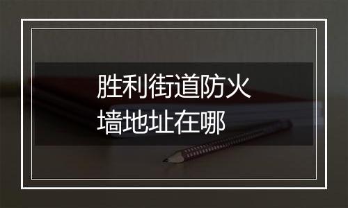 胜利街道防火墙地址在哪