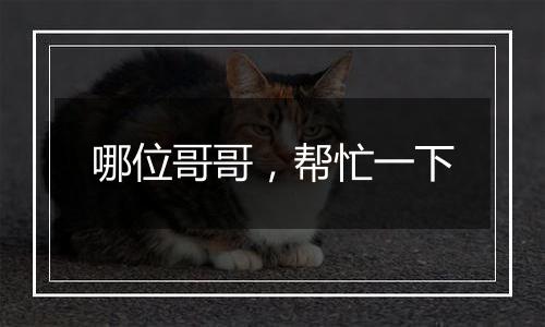 哪位哥哥,帮忙一下