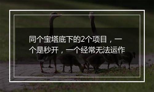 同个宝塔底下的2个项目,一个是秒开,一个经常无法运作