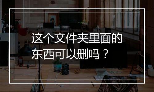 这个文件夹里面的东西可以删吗?