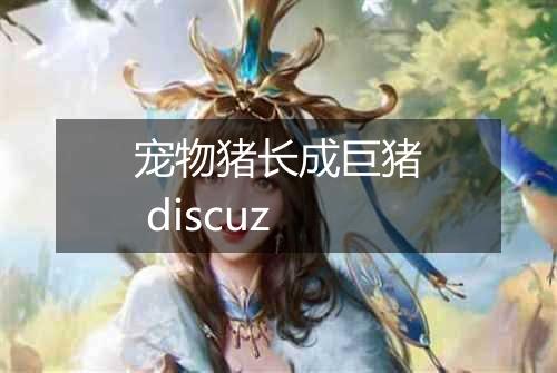 宠物猪长成巨猪 discuz