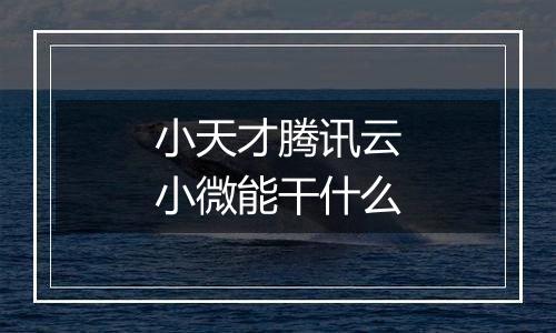 小天才腾讯云小微能干什么