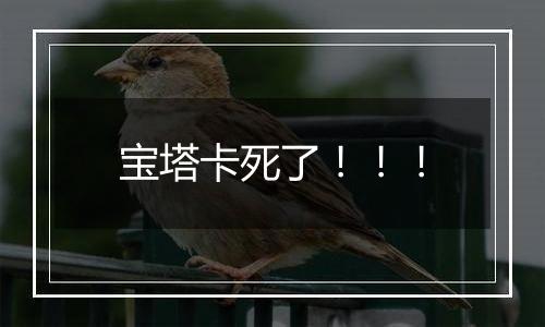 宝塔卡死了!!!