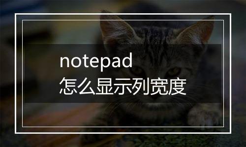 notepad怎么显示列宽度
