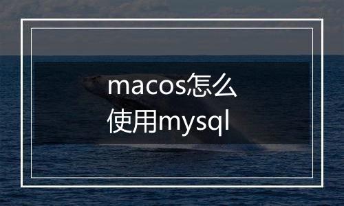 macos怎么使用mysql