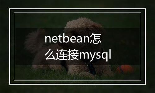 netbean怎么连接mysql