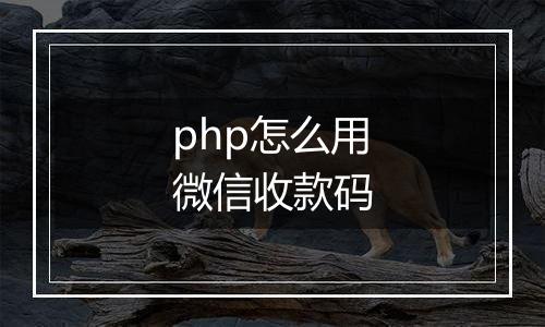 php怎么用微信收款码
