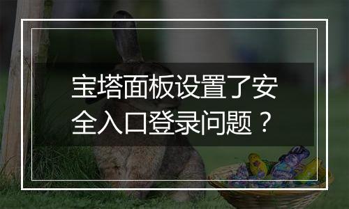 宝塔面板设置了安全入口登录问题?