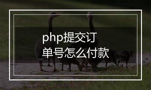 php提交订单号怎么付款