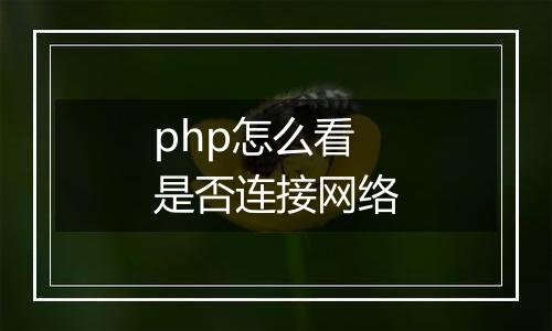 php怎么看是否连接网络