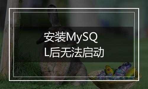 安装MySQL后无法启动