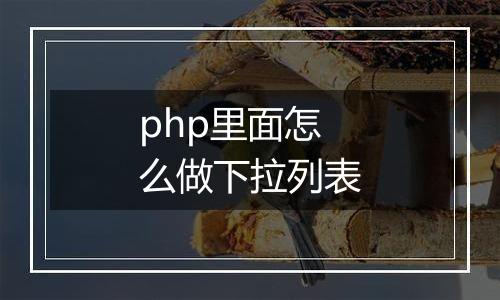 php里面怎么做下拉列表