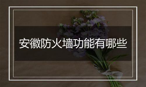安徽防火墙功能有哪些