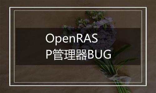 OpenRASP管理器BUG