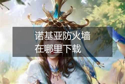 诺基亚防火墙在哪里下载