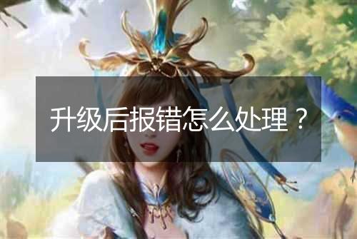 升级后报错怎么处理?