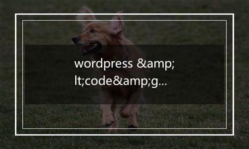 wordpress <code>