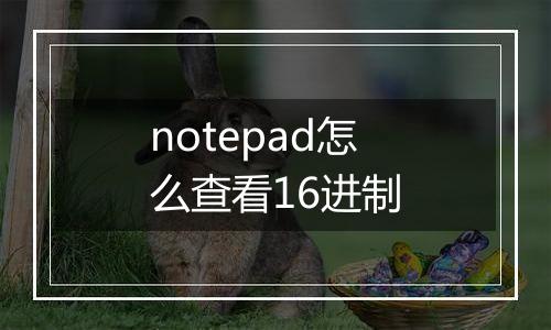 notepad怎么查看16进制