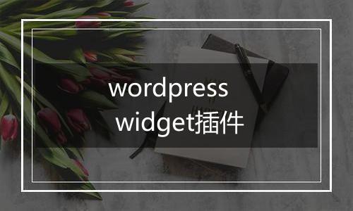 wordpress widget插件