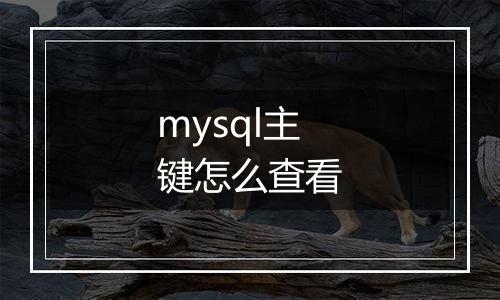 mysql主键怎么查看