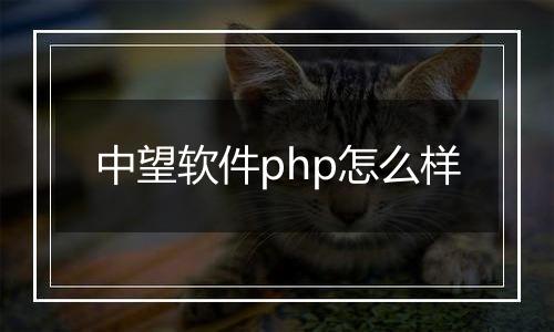 中望软件php怎么样