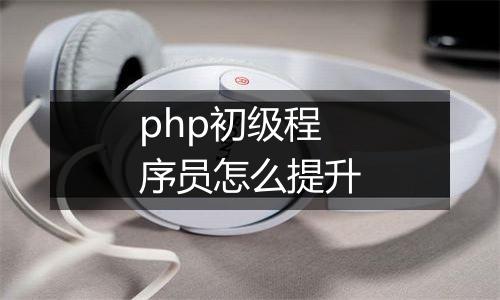php初级程序员怎么提升