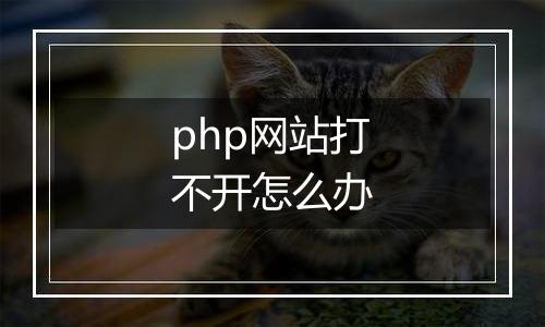php网站打不开怎么办
