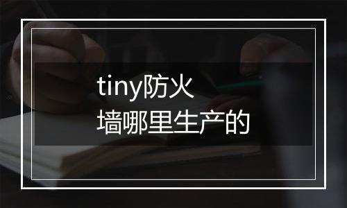 tiny防火墙哪里生产的