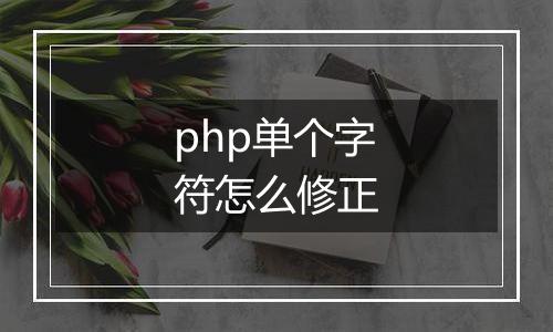 php单个字符怎么修正