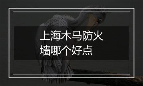 上海木马防火墙哪个好点