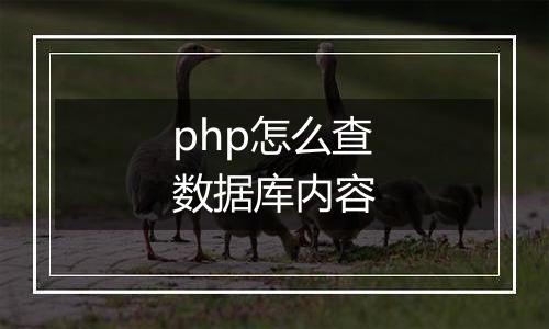 php怎么查数据库内容