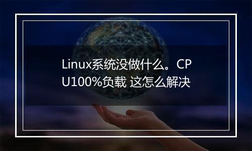 Linux系统没做什么。CPU100%负载 这怎么解决