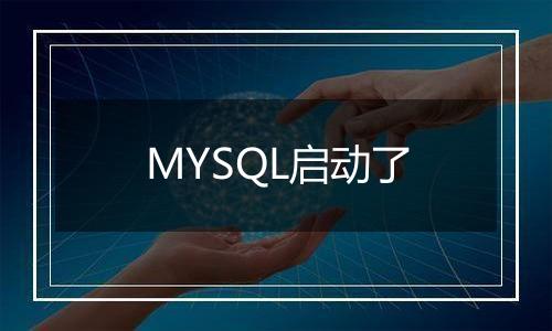 MYSQL启动了