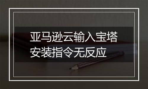 亚马逊云输入宝塔安装指令无反应
