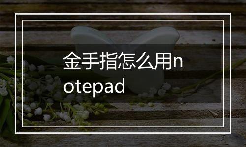 金手指怎么用notepad