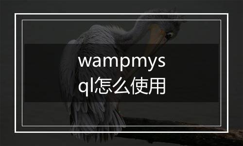wampmysql怎么使用