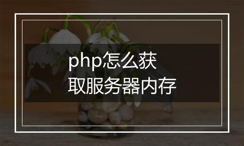 php怎么获取服务器内存
