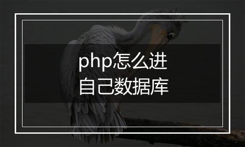 php怎么进自己数据库