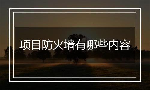 项目防火墙有哪些内容