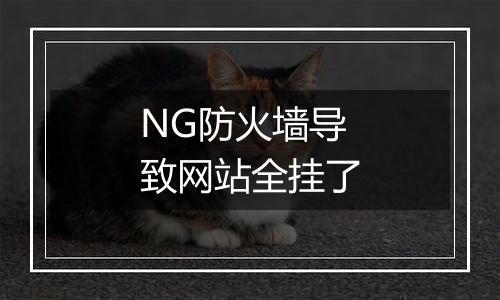 NG防火墙导致网站全挂了