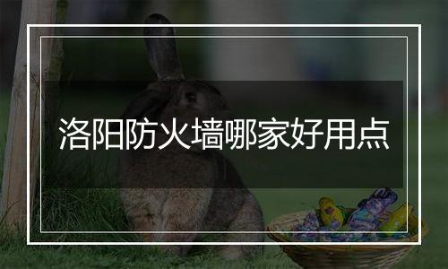 洛阳防火墙哪家好用点