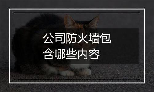 公司防火墙包含哪些内容